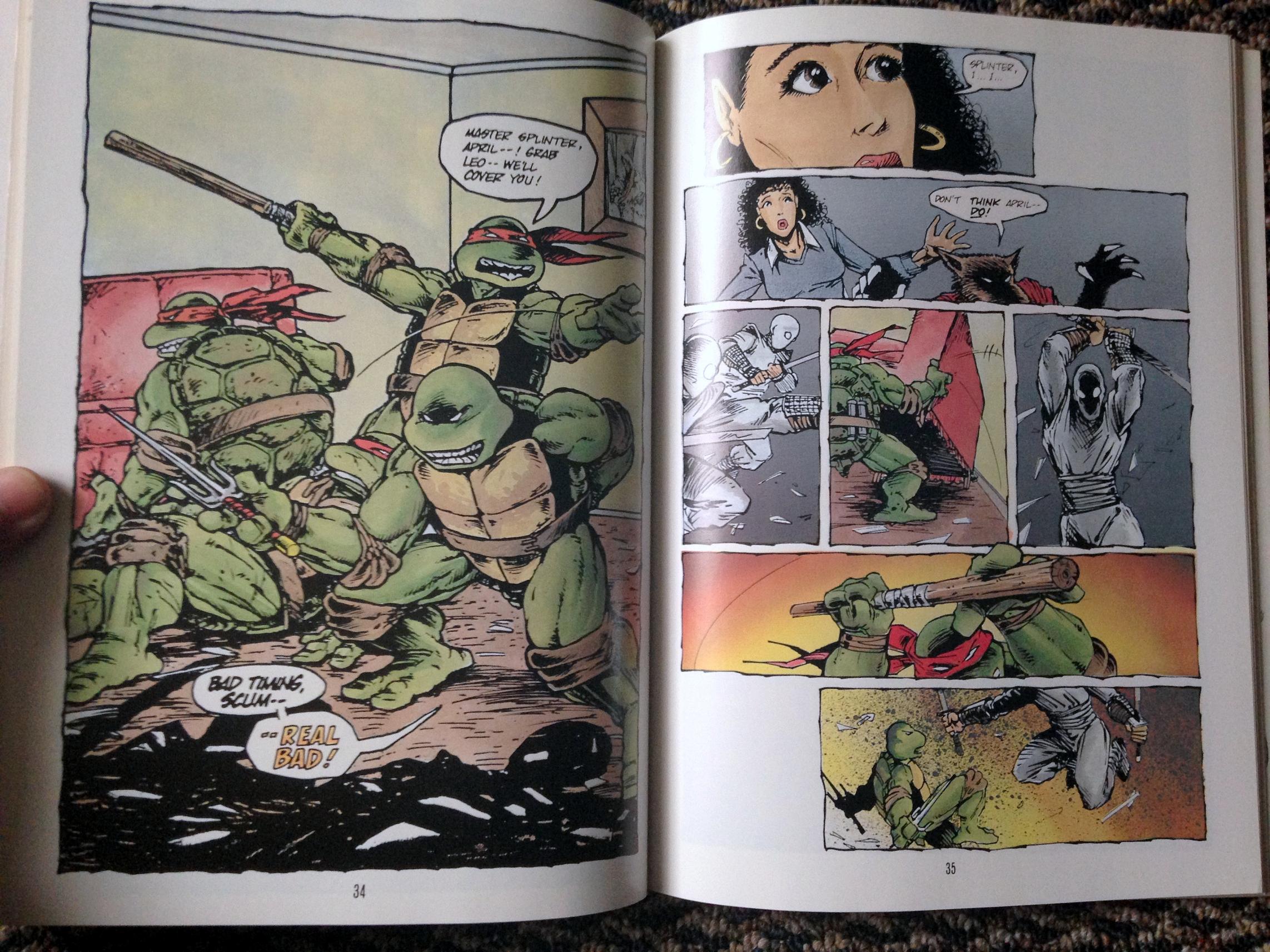 teenage mutant ninja turtles graphic novel set (21)
