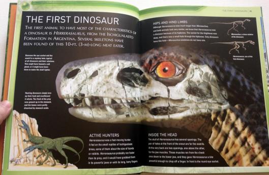 kingfisher dinosaur encyclopedia (5)